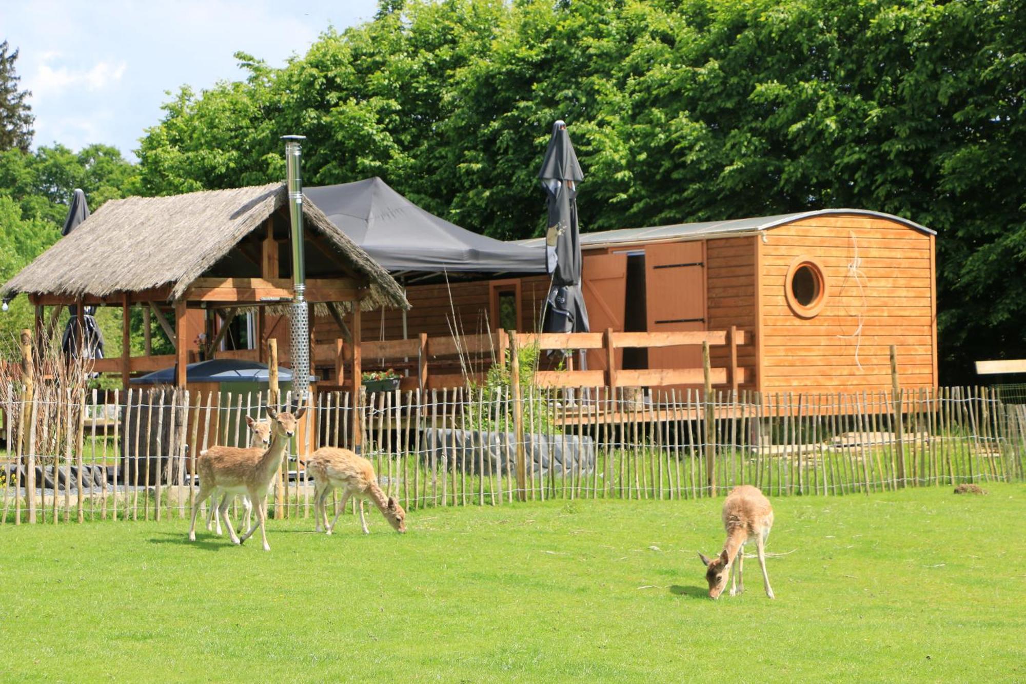 La Roulotte D'ala-daims Campsite