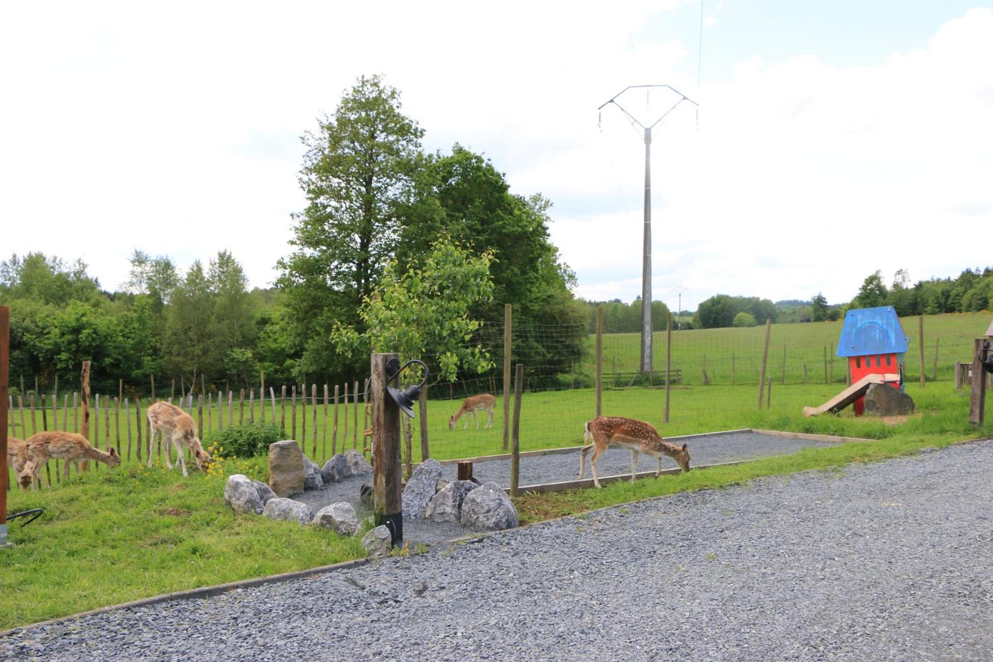 La Roulotte D'ala-daims Campsite Nollevaux