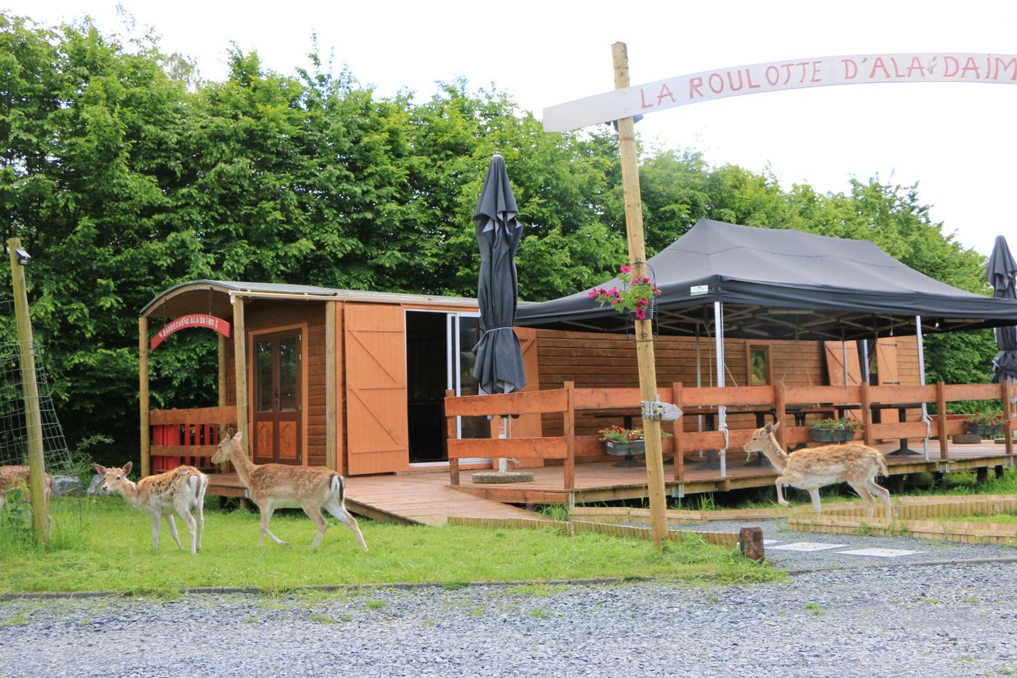 Campsite La Roulotte D'ala-daims